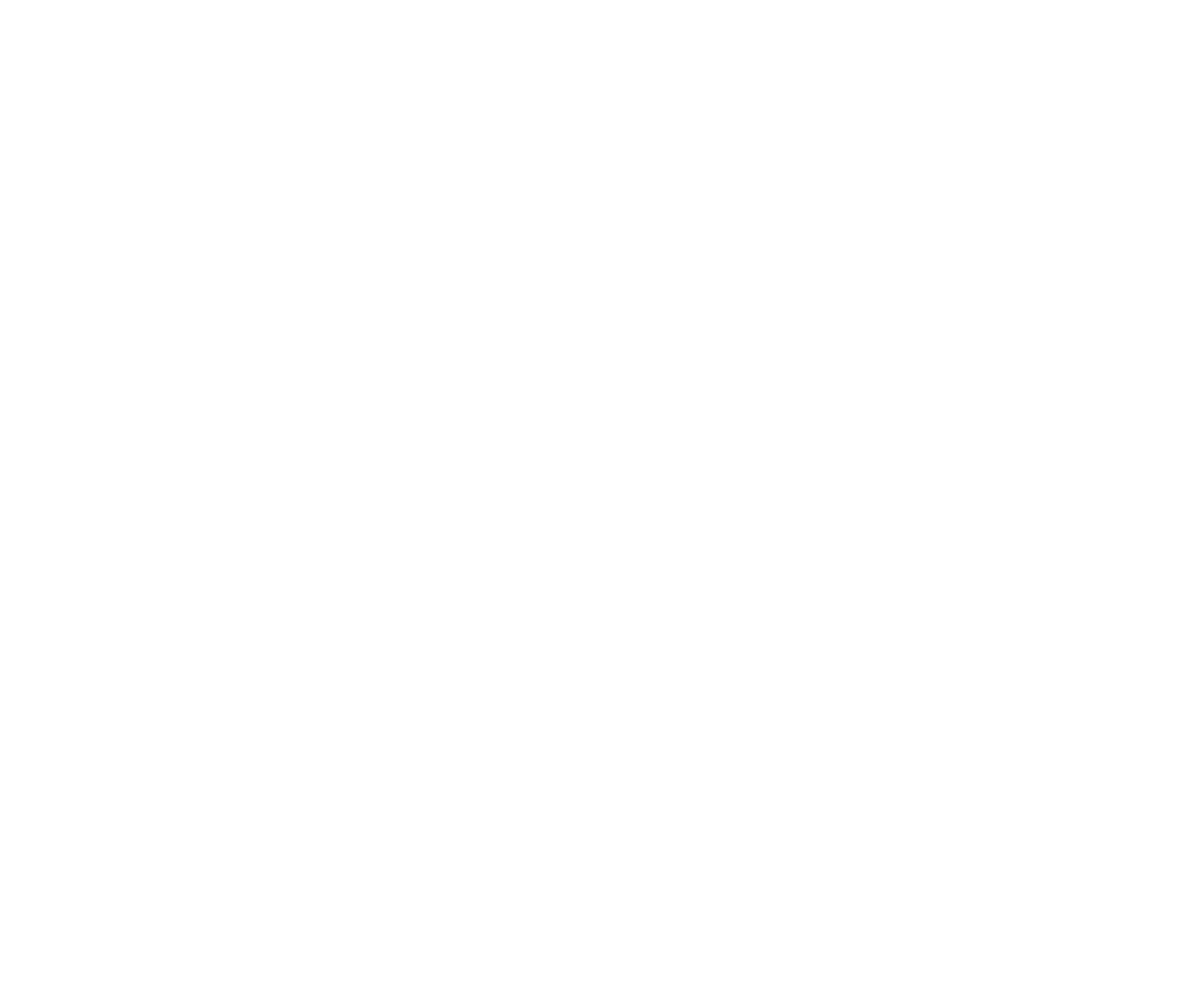 Awake Not Woke Long Sleeve Tee