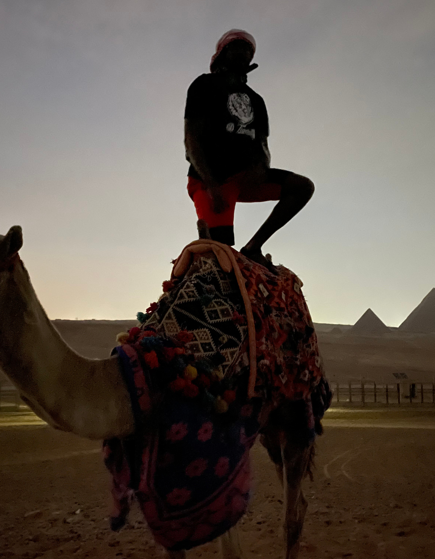 Velvet Ritual Giza graphic — silhouette standing on a camel before the pyramids at dusk