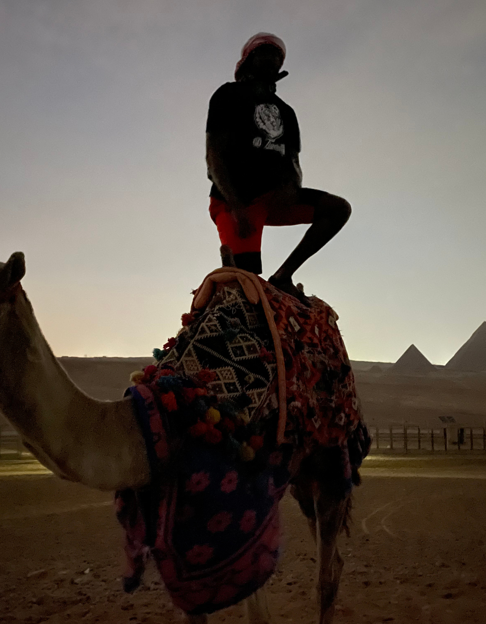 Velvet Ritual Giza graphic — silhouette standing on a camel before the pyramids at dusk